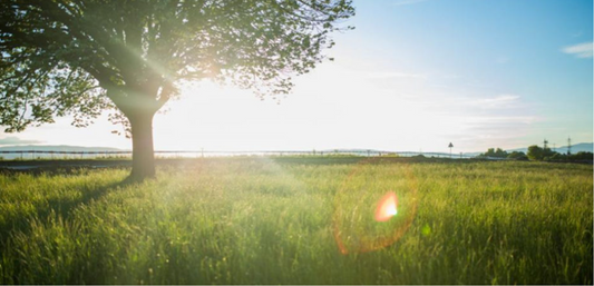 How To Be Eco Friendly With Your Fire Pit and Why You Should